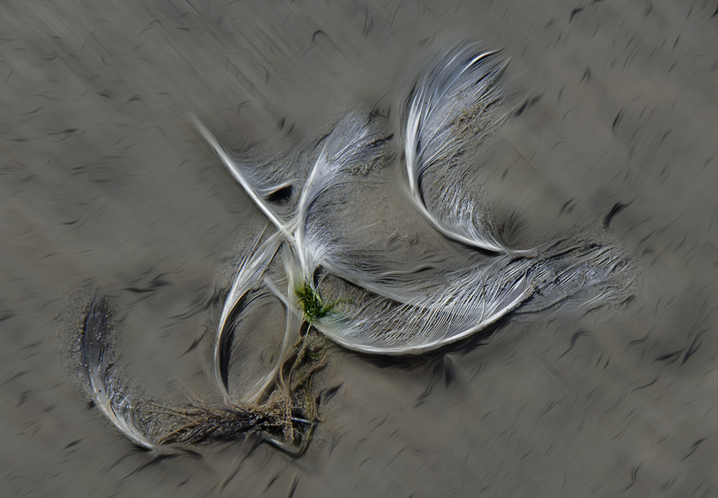 112 Holland 04-2014 ---20140418_0322-1 Kopie.jpg